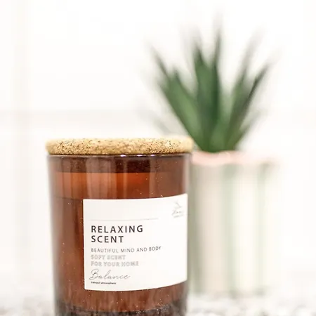 Golden Wroclaw- Cozy - Center&k24 Lejlighed *